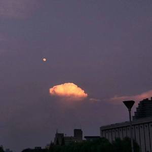 国产香蕉免费精品视频
